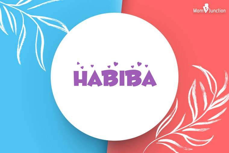 Habiba Stylish Wallpaper