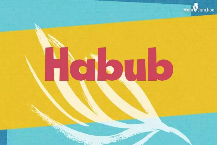 Habub Stylish Wallpaper