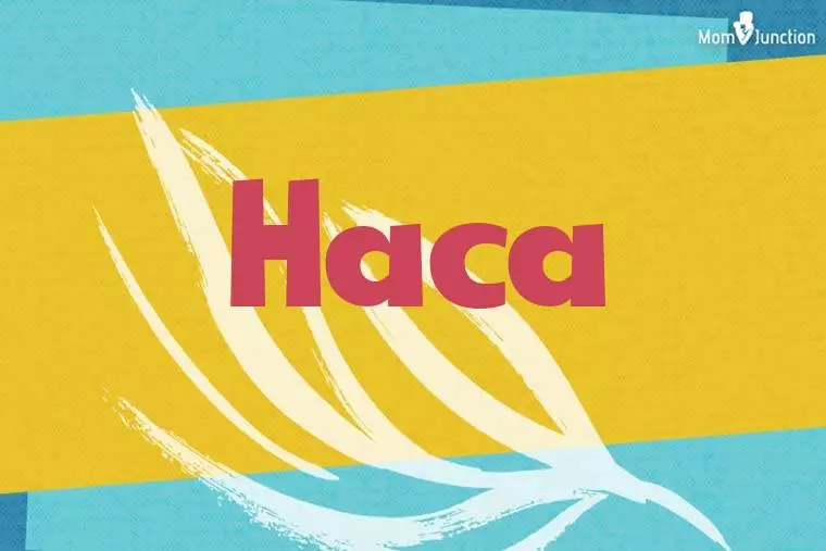 Haca Stylish Wallpaper