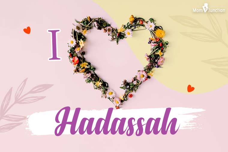 I Love Hadassah Wallpaper