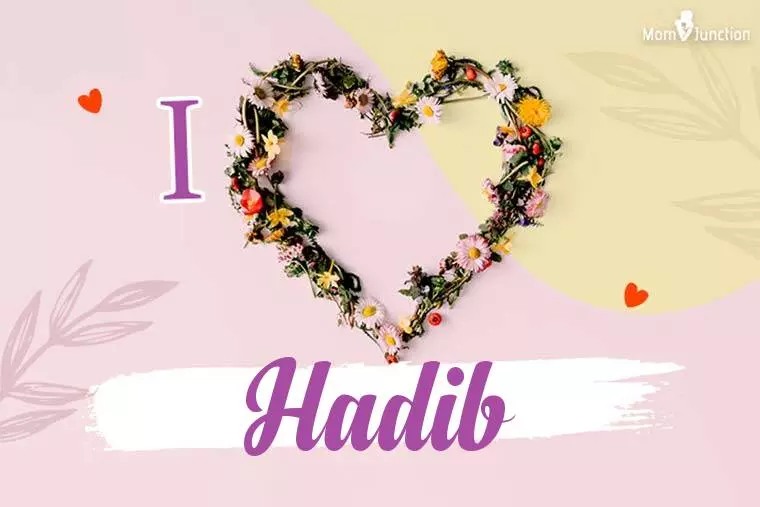 I Love Hadib Wallpaper