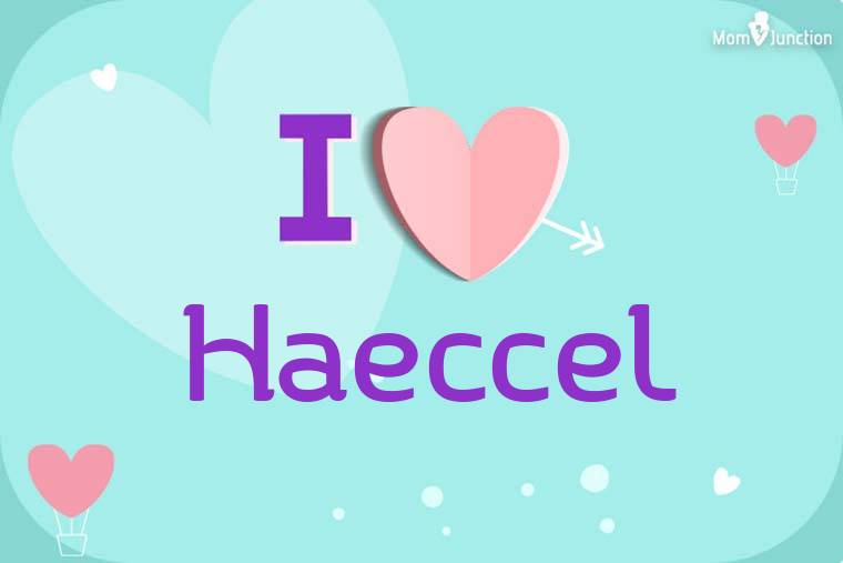 I Love Haeccel Wallpaper