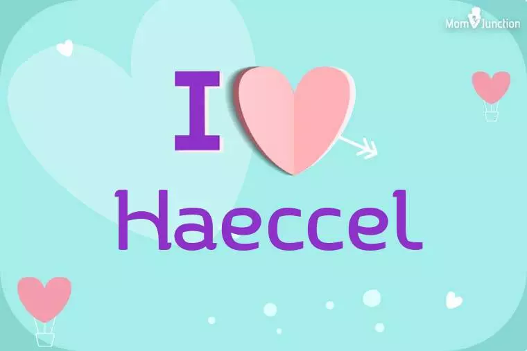 I Love Haeccel Wallpaper