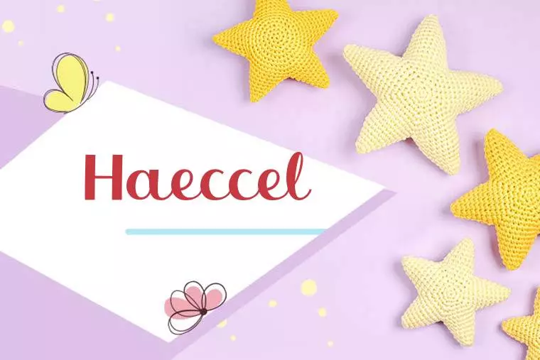 Haeccel Stylish Wallpaper