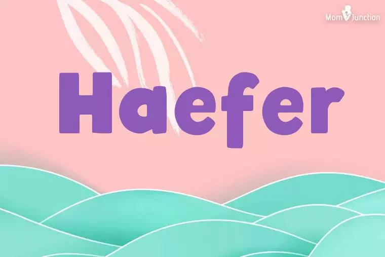 Haefer Stylish Wallpaper