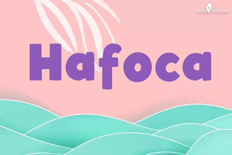 Hafoca Stylish Wallpaper