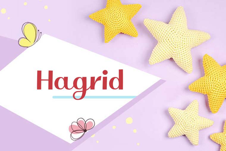 Hagrid Stylish Wallpaper