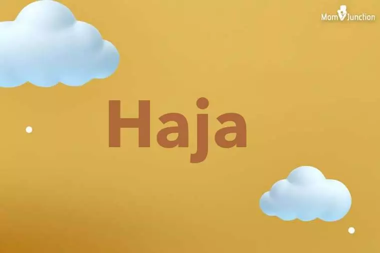 Haja 3D Wallpaper