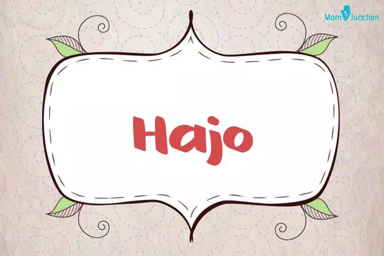 Hajo Stylish Wallpaper