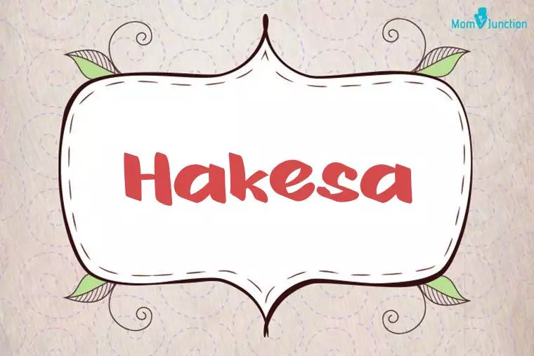 Hakesa Stylish Wallpaper