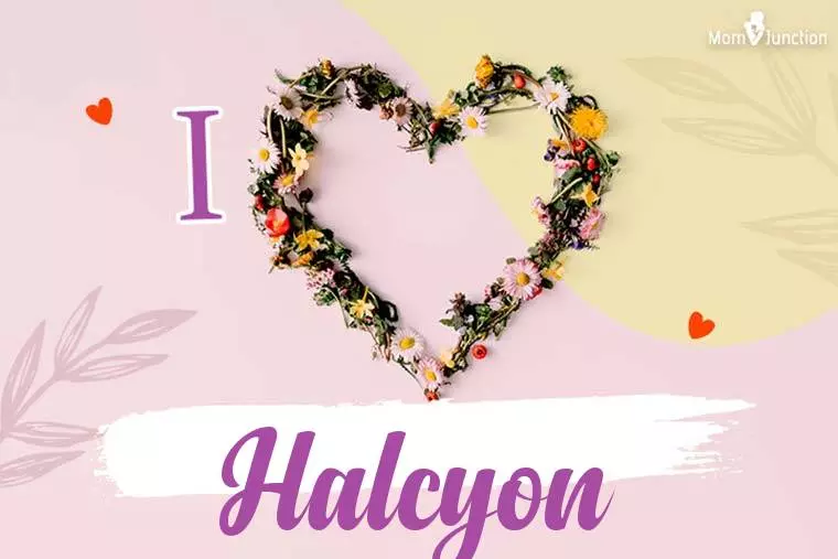 I Love Halcyon Wallpaper