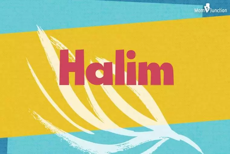 Halim Stylish Wallpaper