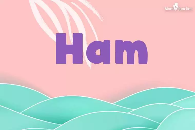 Ham Stylish Wallpaper