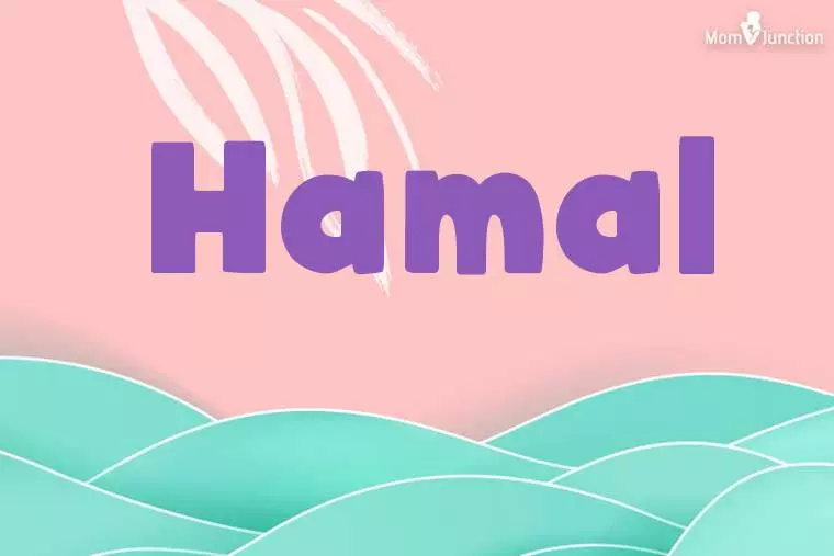 Hamal Stylish Wallpaper