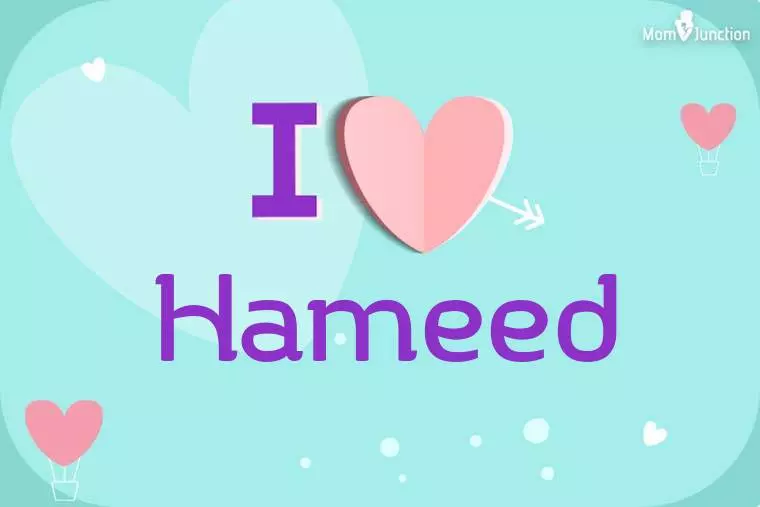 I Love Hameed Wallpaper