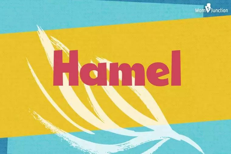 Hamel Stylish Wallpaper