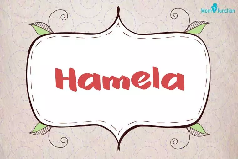 Hamela Stylish Wallpaper