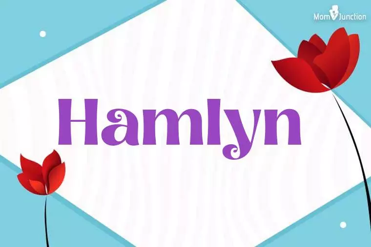 Hamlyn 3D Wallpaper