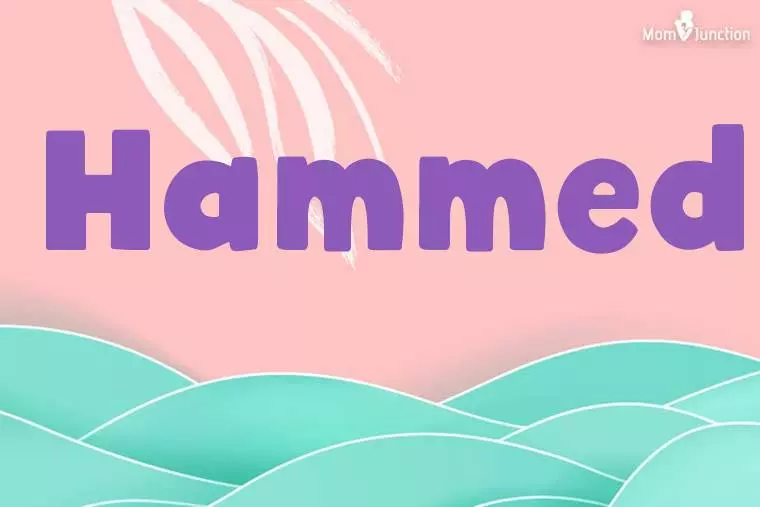 Hammed Stylish Wallpaper