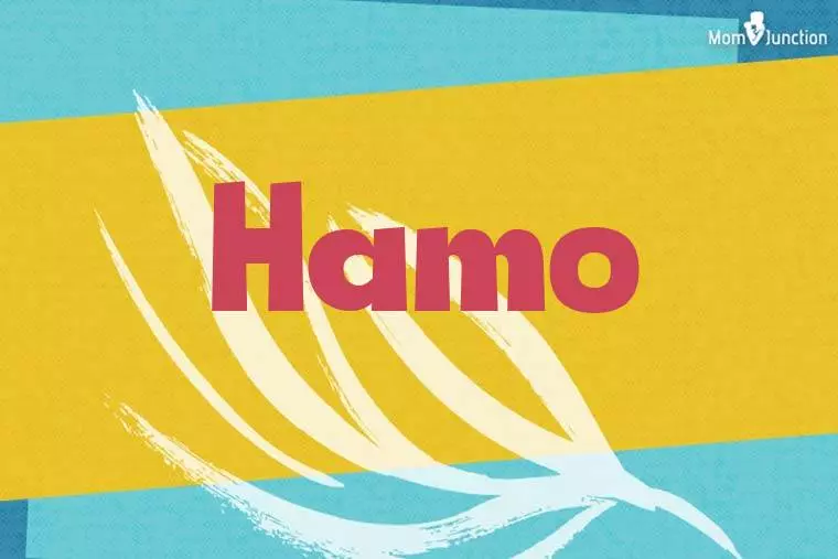 Hamo Stylish Wallpaper