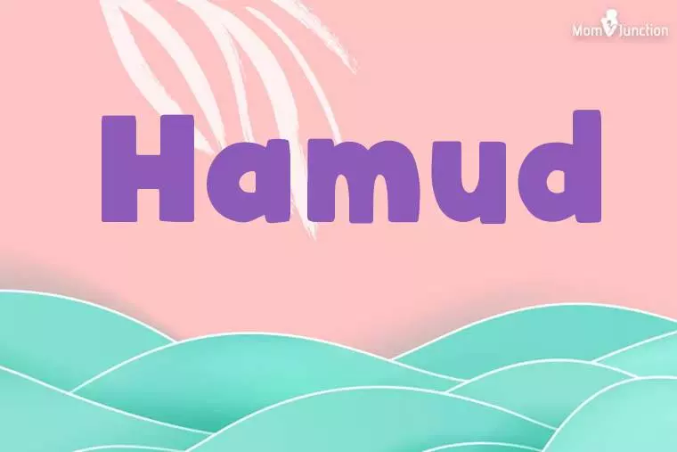 Hamud Stylish Wallpaper