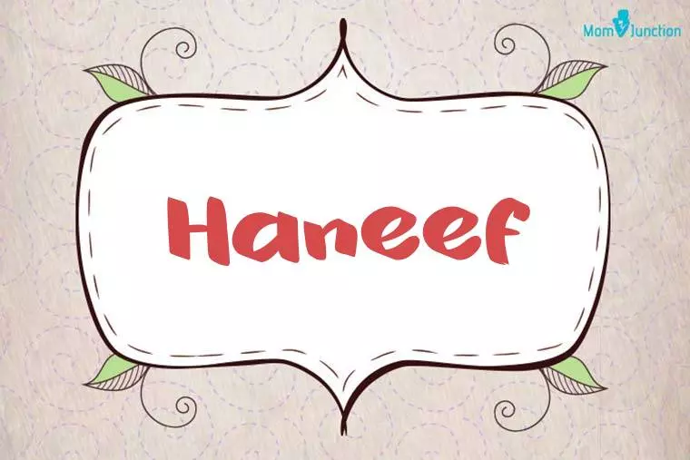 Haneef Stylish Wallpaper