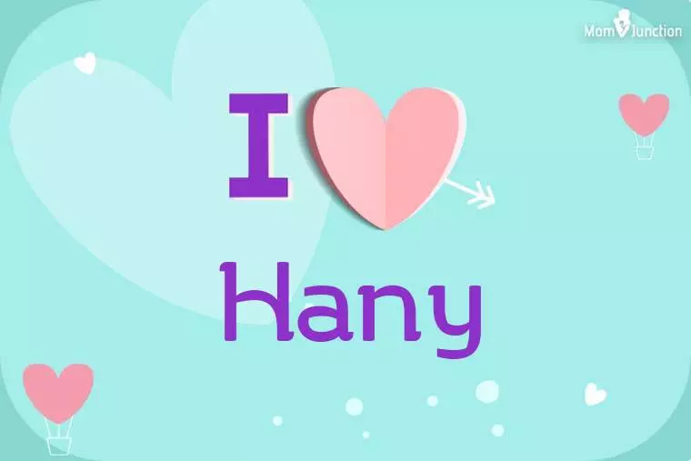 I Love Hany Wallpaper