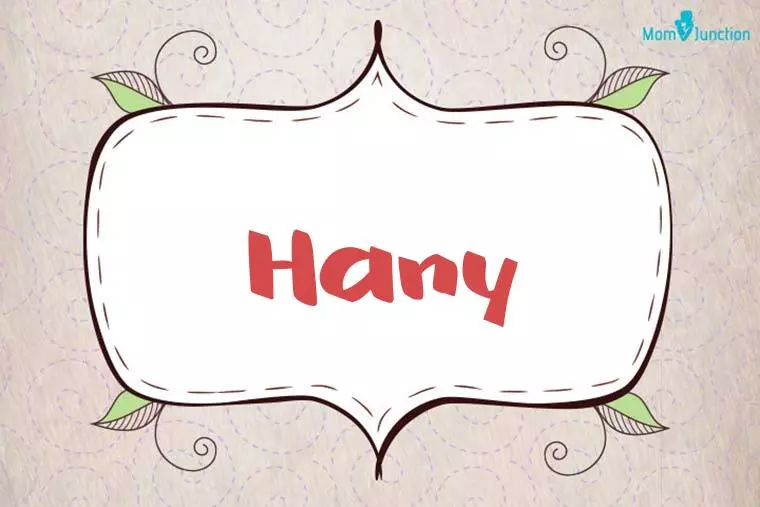 Hany Stylish Wallpaper