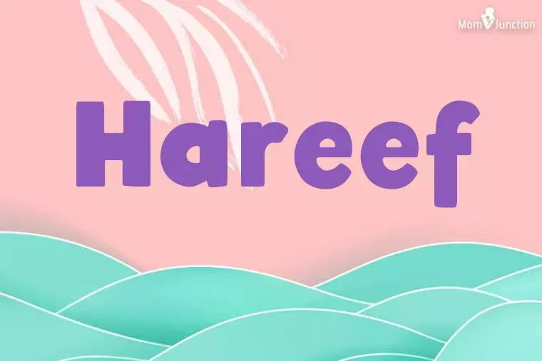 Hareef Stylish Wallpaper