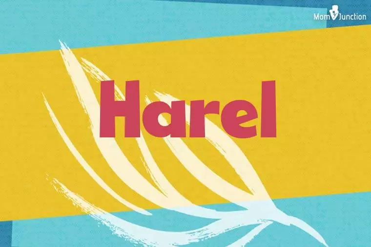 Harel Stylish Wallpaper