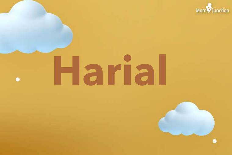 Harial 3D Wallpaper
