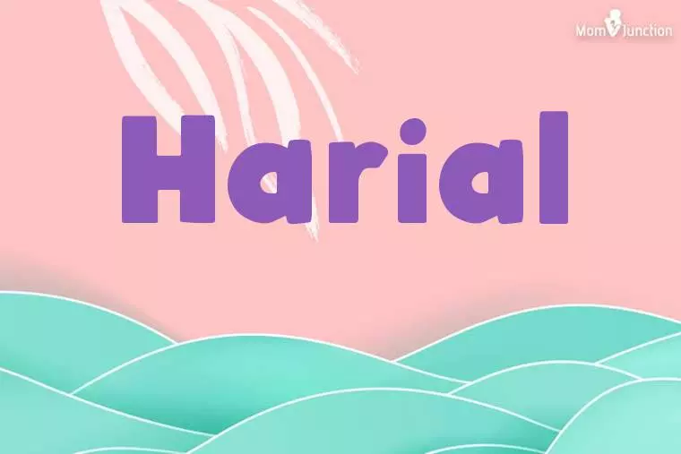 Harial Stylish Wallpaper