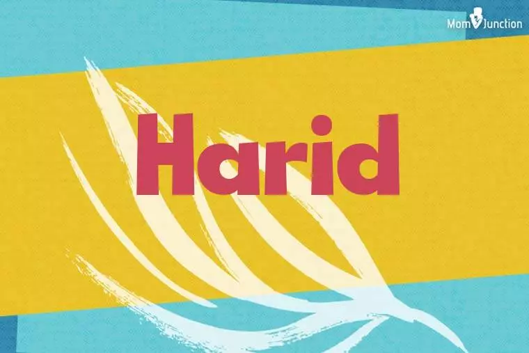 Harid Stylish Wallpaper