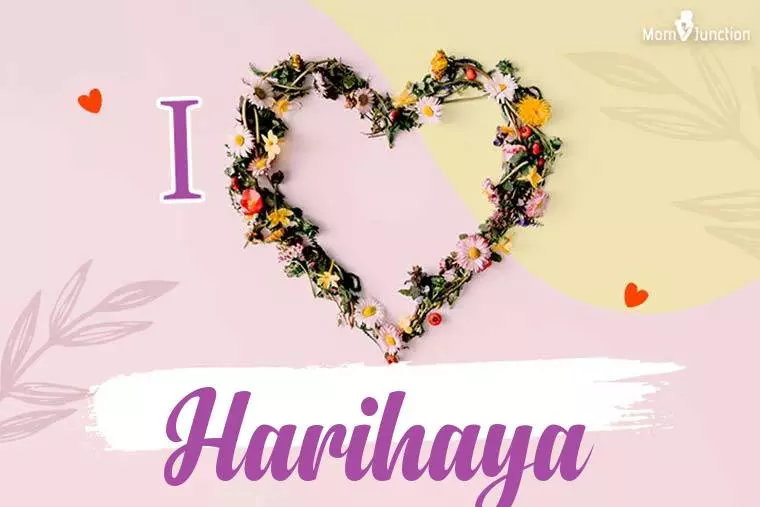 I Love Harihaya Wallpaper