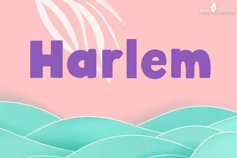 Harlem Stylish Wallpaper