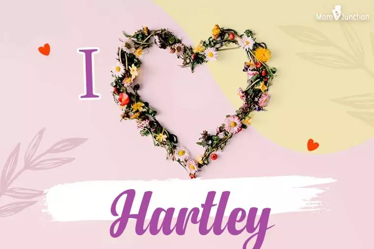 I Love Hartley Wallpaper