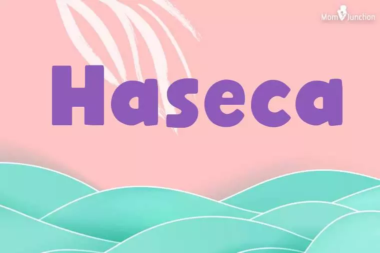 Haseca Stylish Wallpaper