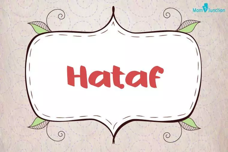 Hataf Stylish Wallpaper