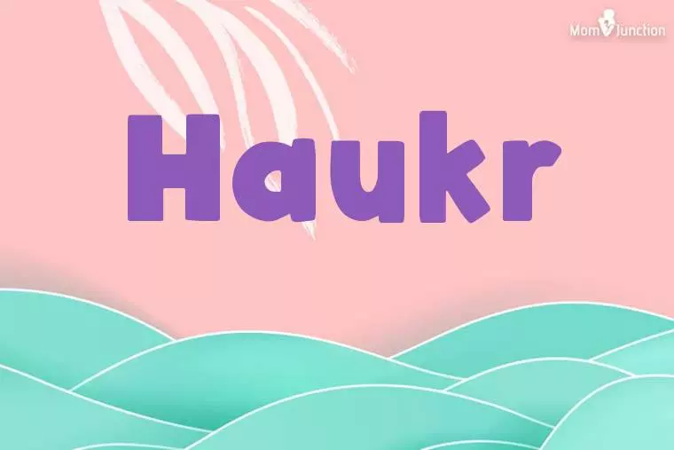 Haukr Stylish Wallpaper