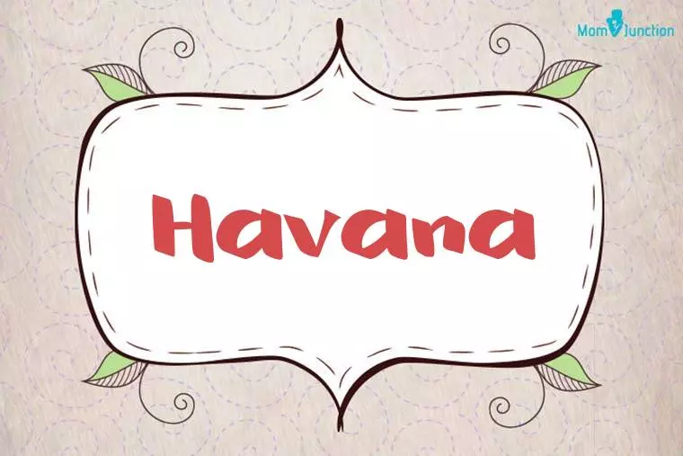 Havana Stylish Wallpaper