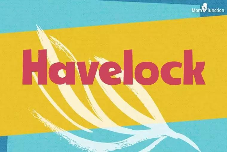 Havelock Stylish Wallpaper