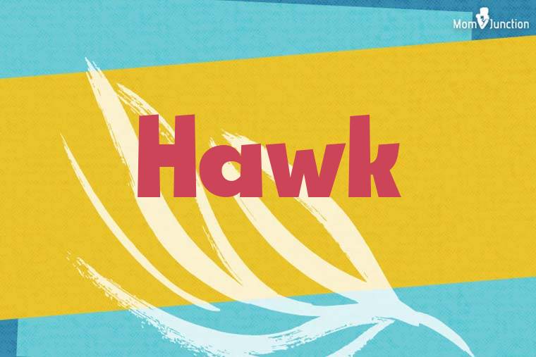 Hawk Stylish Wallpaper