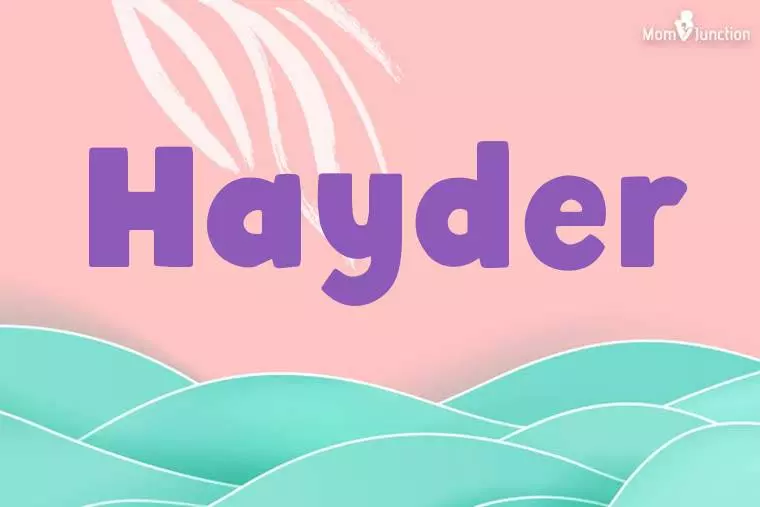 Hayder Stylish Wallpaper