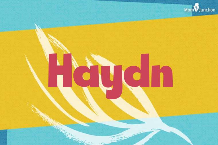 Haydn Stylish Wallpaper