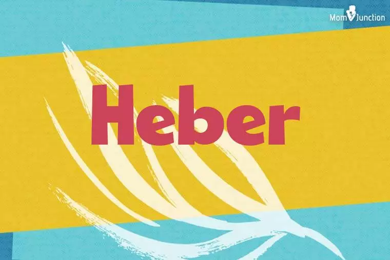 Heber Stylish Wallpaper