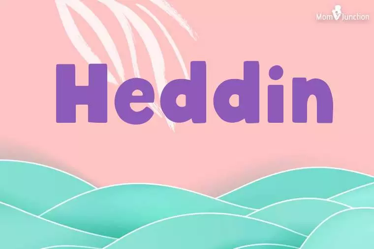 Heddin Stylish Wallpaper