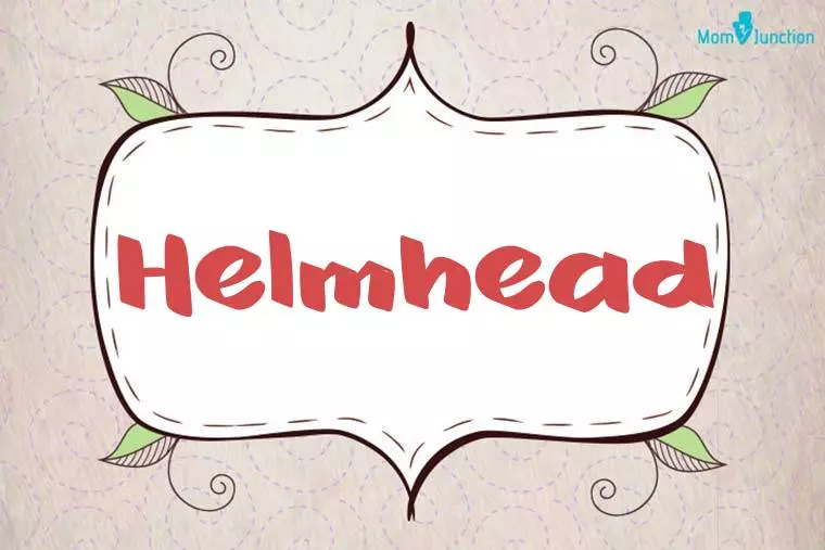 Helmhead Stylish Wallpaper