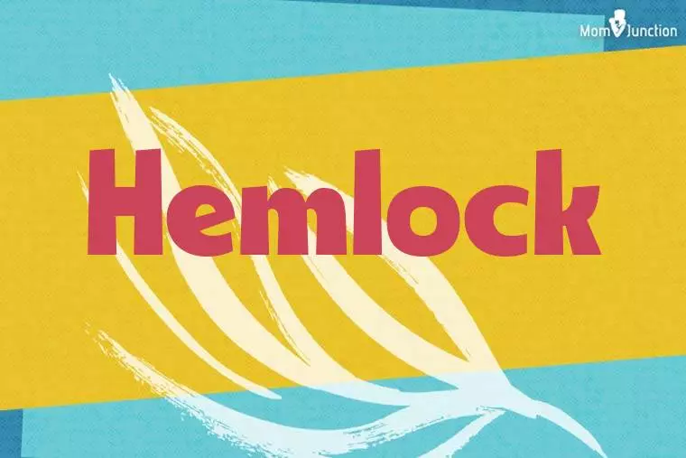 Hemlock Stylish Wallpaper