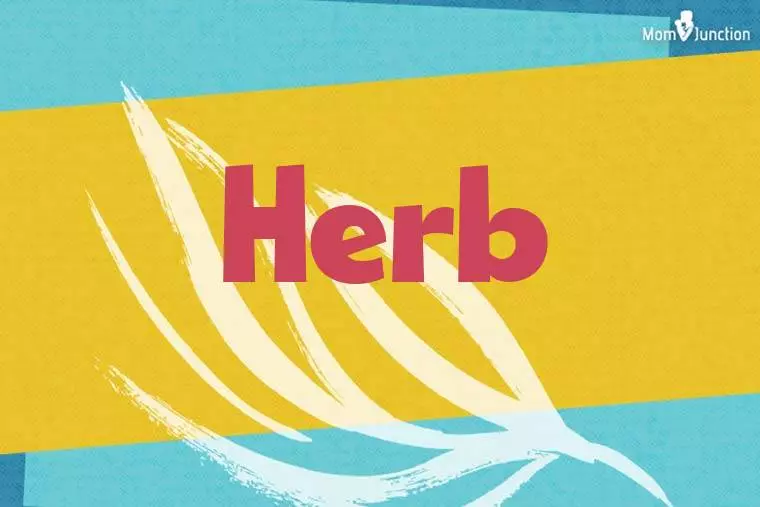 Herb Stylish Wallpaper