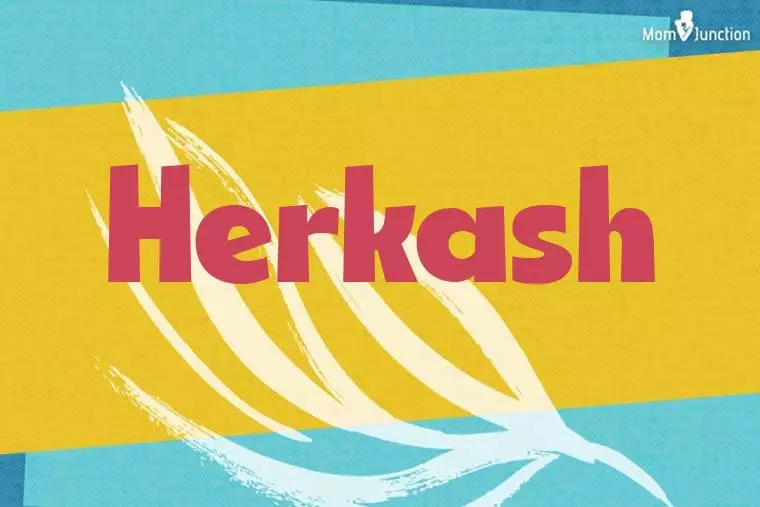 Herkash Stylish Wallpaper